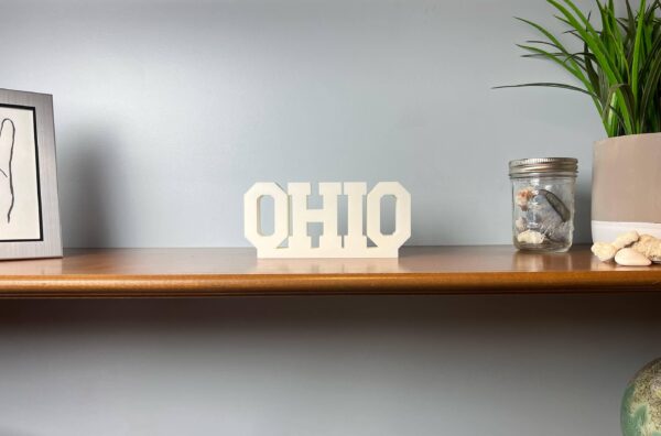 ohio 3d printed text