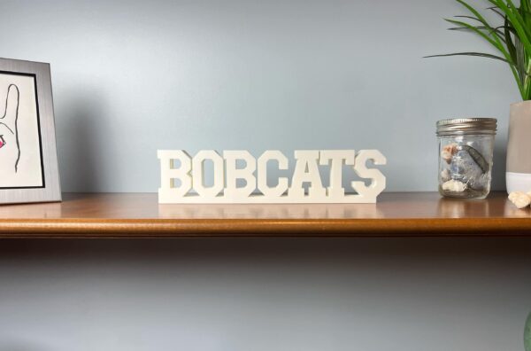 bobcats 3d printed text