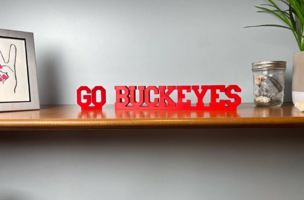 go buckeyes 3d printed text