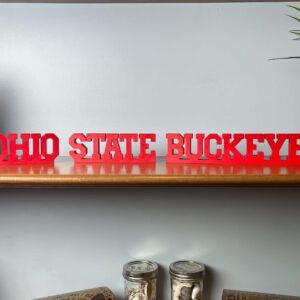 ohio state buckeyes 3d printed text