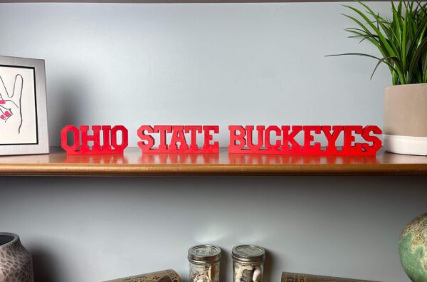 ohio state buckeyes 3d printed text