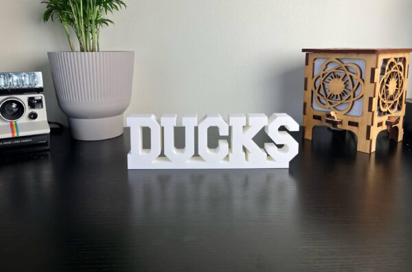 ducks 3d printed text