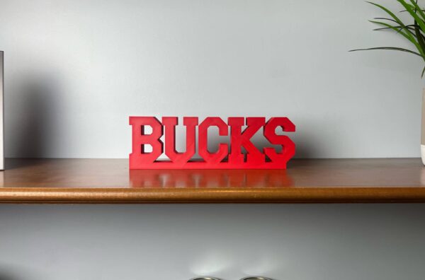 Bucks 3d printed text
