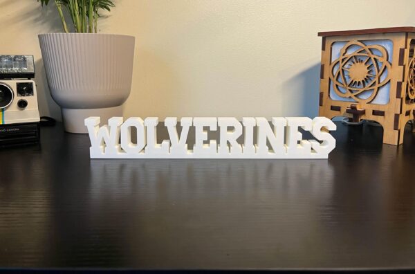 wolverines 3d printed text